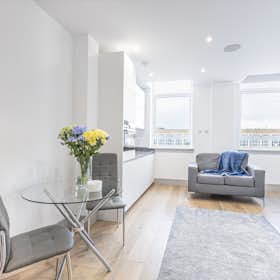 单间公寓 正在以 £1,595 的月租出租，其位于 London, Lawrence Road