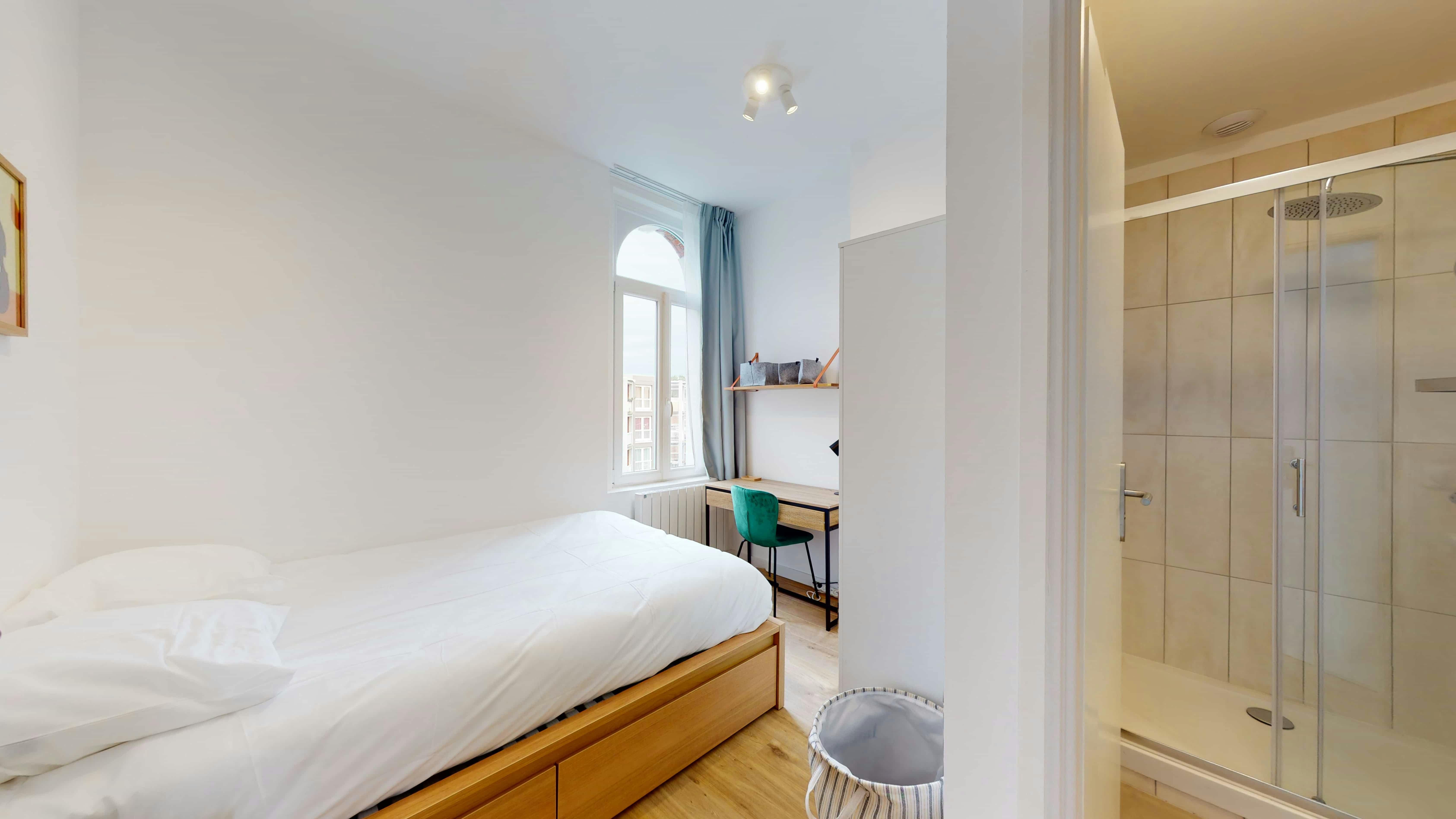 Rue du Faubourg de Roubaix, Lille preview