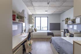 Mehrbettzimmer zu mieten für 520 € pro Monat in Porto, R. Alberto Malafaya Baptista