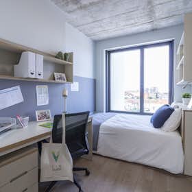 Private room for rent for €679 per month in Porto, R. Alberto Malafaya Baptista