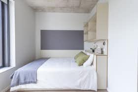 单间公寓 正在以 €750 的月租出租，其位于 Porto, R. Alberto Malafaya Baptista