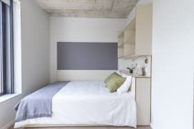 Studio for rent for €750 per month in Porto, R. Alberto Malafaya Baptista