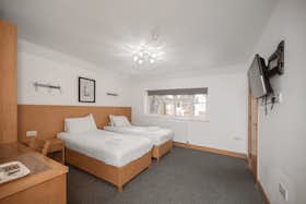 单间公寓 正在以 €2,914 的月租出租，其位于 Sutton, Camborne Road