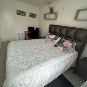 WG-Zimmer for rent for 850 € per month in Haarlem, Bulgarijepad