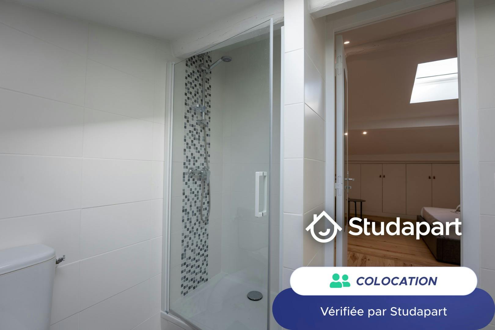 Private room for rent on Rue Bonnefin, Bordeaux - Vue 5