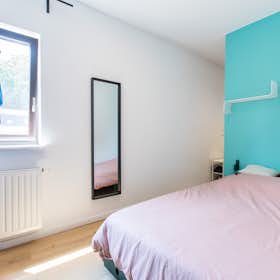 Приватна кімната за оренду для 450 EUR на місяць у Mons, Rue des Droits de l'Homme