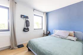 Pokój prywatny do wynajęcia za 425 € miesięcznie w mieście Mons, Rue des Droits de l'Homme