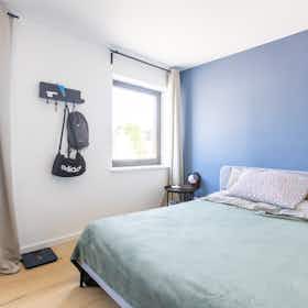Pokój prywatny do wynajęcia za 425 € miesięcznie w mieście Mons, Rue des Droits de l'Homme
