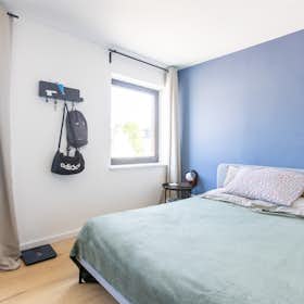 Private room for rent for €425 per month in Mons, Rue des Droits de l'Homme