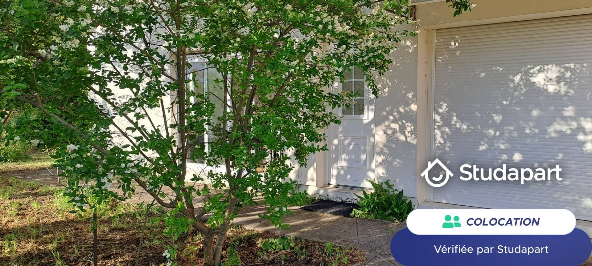 Private room for rent for €550 per month in Pessac, Rue Alexandre Ribot