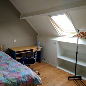 Stanza privata for rent for 500 € per month in Krimpen aan de Lek, Groenland