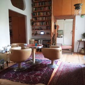 Apartment for rent for €1,750 per month in Vienna, Fleischmarkt