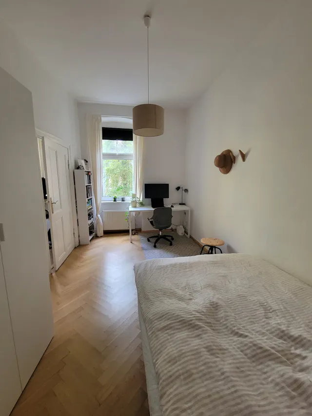 1-Bedroom Apartment in Fehrbelliner Straße, Berlin (1384897) room image 1