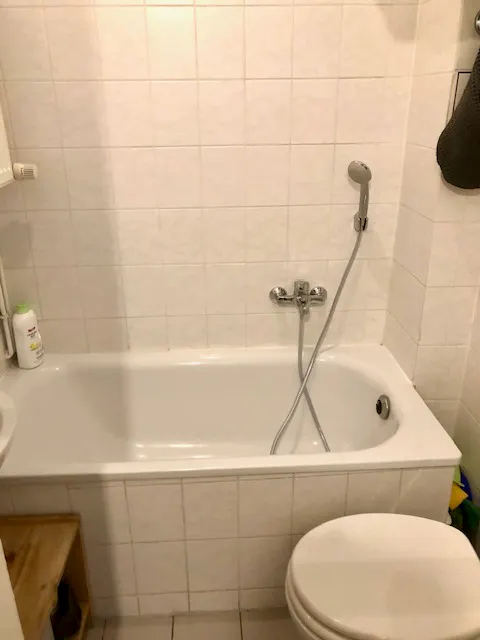 Apartment in Kastanienallee, Berlin (1385126) ROOM 4