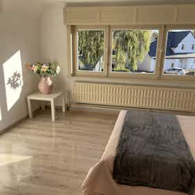 Cameră privată de închiriat pentru 700 EUR pe lună în Bonheiden, Doornlaarstraat
