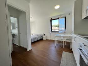 Studio for rent for €1,000 per month in Cardano al Campo, Via dell'Ongaro
