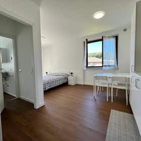 单间公寓 正在以 €1,000 的月租出租，其位于 Cardano al Campo, Via dell'Ongaro