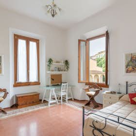 WG-Zimmer for rent for 750 € per month in Florence, Viale dei Cadorna