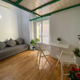 Studio for rent for €950 per month in Madrid, Calle del Oso