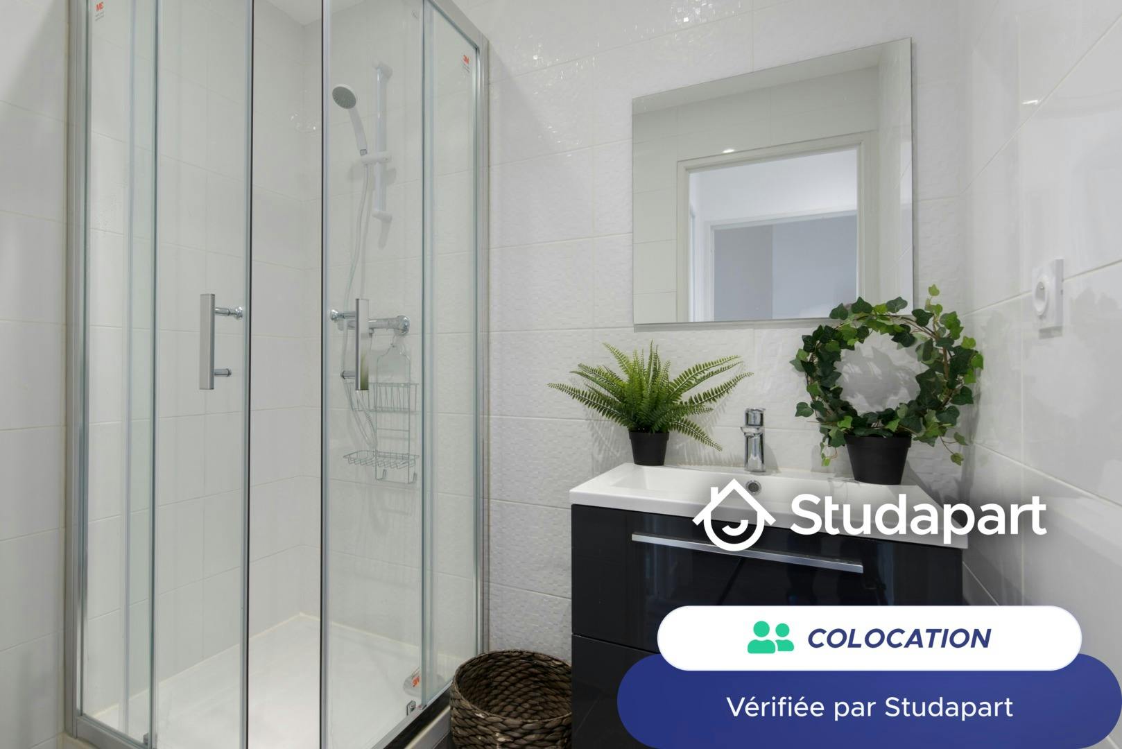 Private room for rent on Cours Fauriel, Saint-Étienne – pohled 3