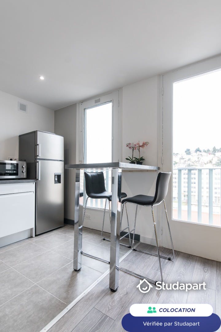 Private room for rent on Cours Fauriel, Saint-Étienne – pohled 4