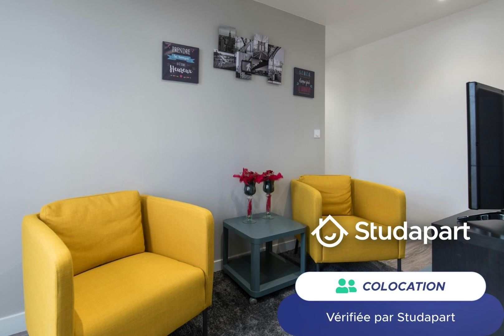 Private room for rent on Cours Fauriel, Saint-Étienne – pohled 5