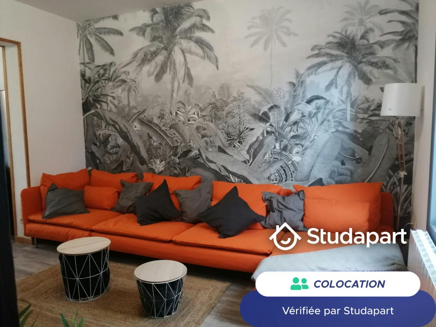 Private room for rent for €550 per month in Lille, Rue du Faubourg des Postes