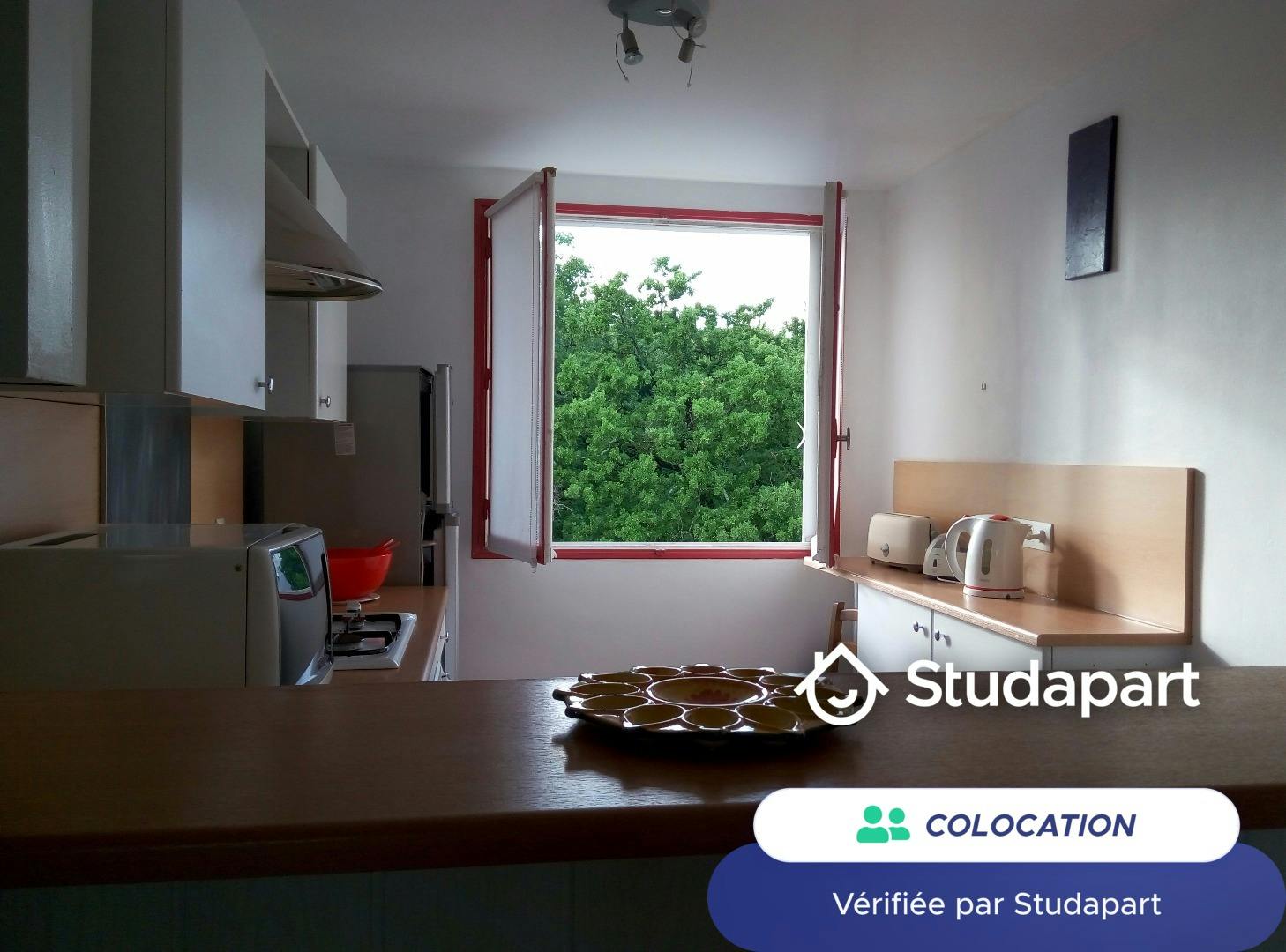 Private room for rent on Rue des Soupirs, Nantes - Vue 5