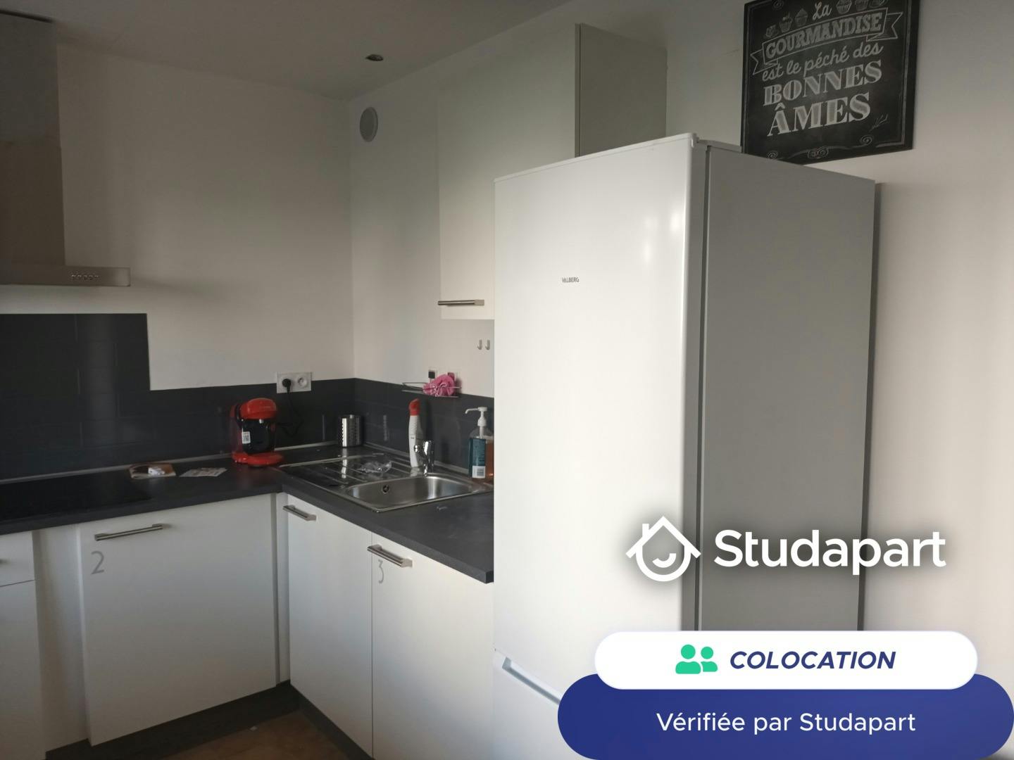 Appartement à Villeurbanne