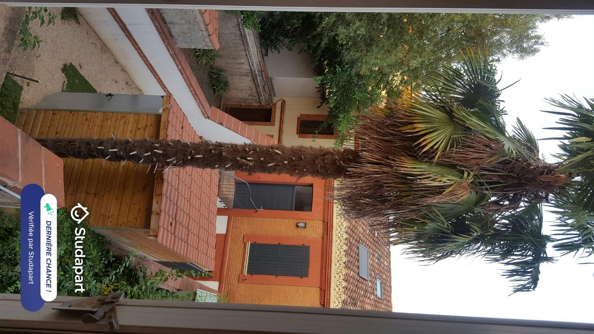 Appartement – Toulouse, Saint-Michel - Vue 3