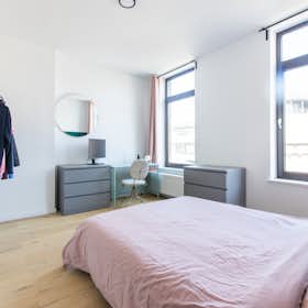 Приватна кімната за оренду для 435 EUR на місяць у Mons, Rue des Droits de l'Homme