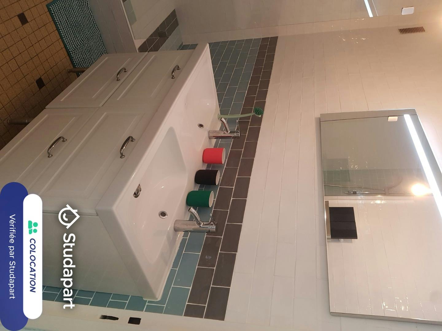 Private room for rent on Rue des Amidonniers, Toulouse - View 5