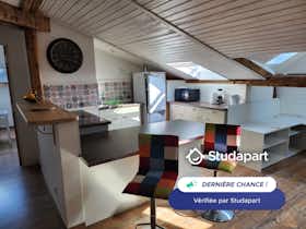Apartament de închiriat pentru 585 EUR pe lună în Mulhouse, Rue du Rhône