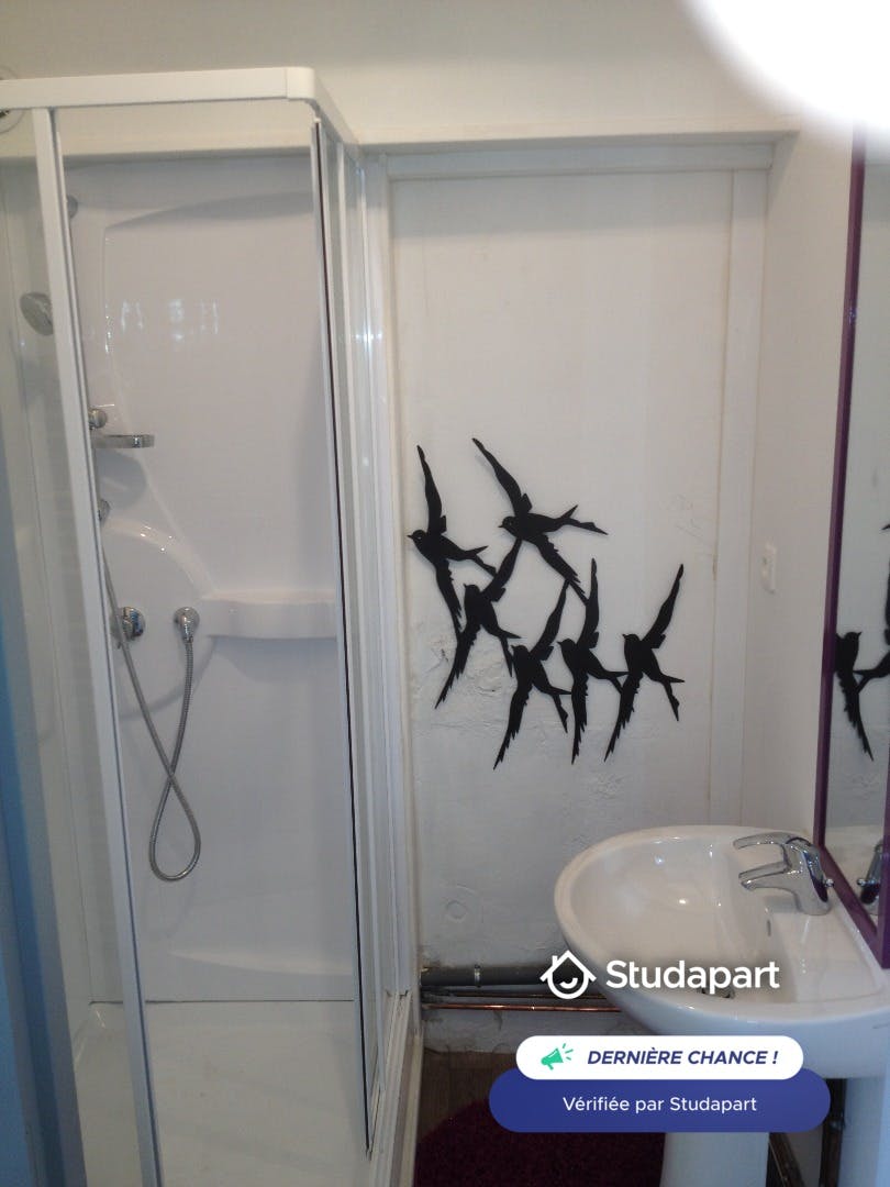Apartment for rent on Rue Antoine Durafour, Saint-Étienne – pohled 5