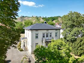 Apartament de închiriat pentru 3.650 EUR pe lună în Radebeul, Augustusweg