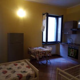 Monolocale for rent for 400 € per month in Cremona, Via Domenico Bordigallo