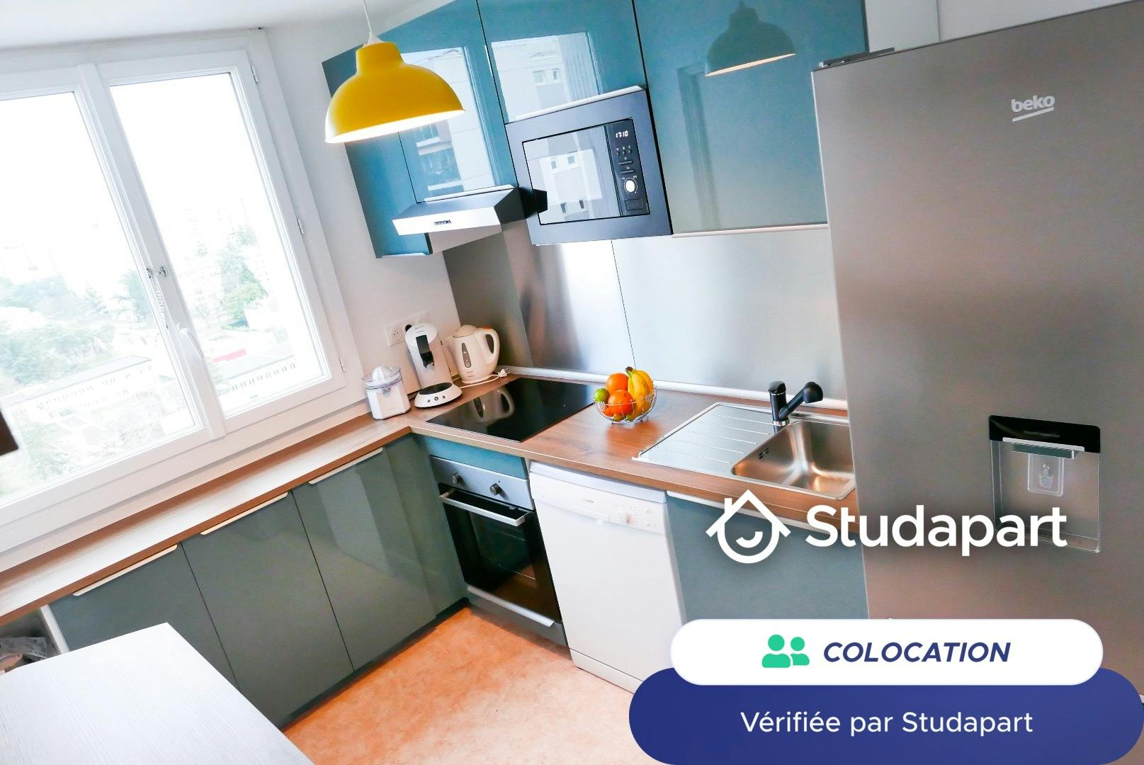 Private room for rent on Boulevard Recteur Jean Sarrailh, Pau - View 5
