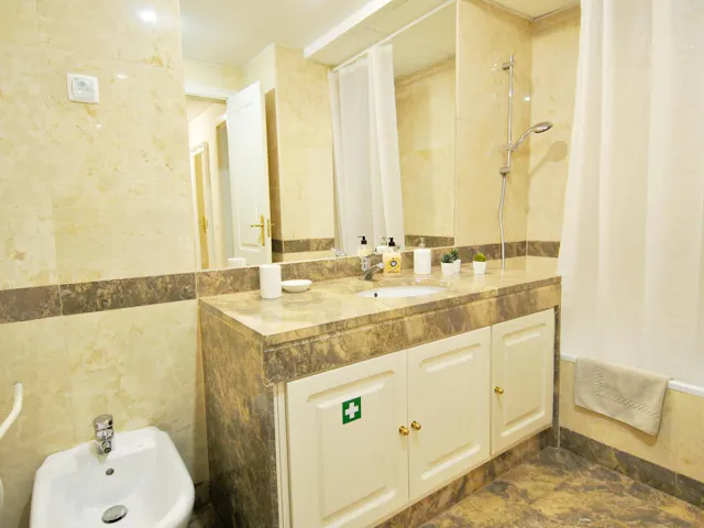 1-Bedroom Apartment in Rua Engenheiro Vieira da Silva, Lisbon (1405585) room image 60
