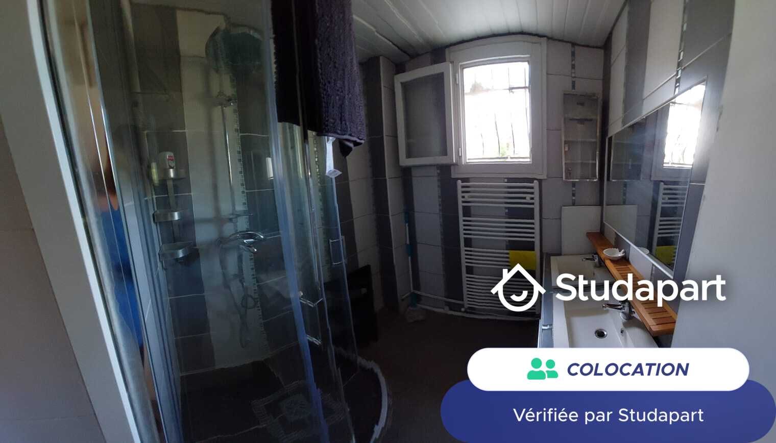 Private room for rent on Boulevard Paul Claudel, Marseille – pohled 5
