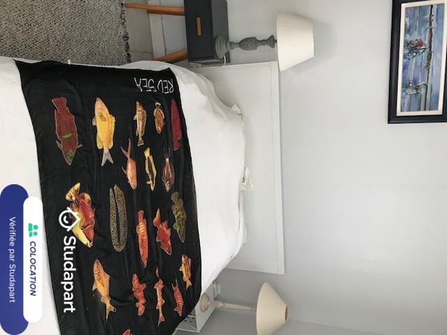 Private room for rent on Rue Colonel Langlois, Toulon