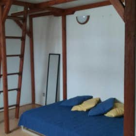 Mieszkanie do wynajęcia za 380 € miesięcznie w mieście Pau, Rue Castetnau