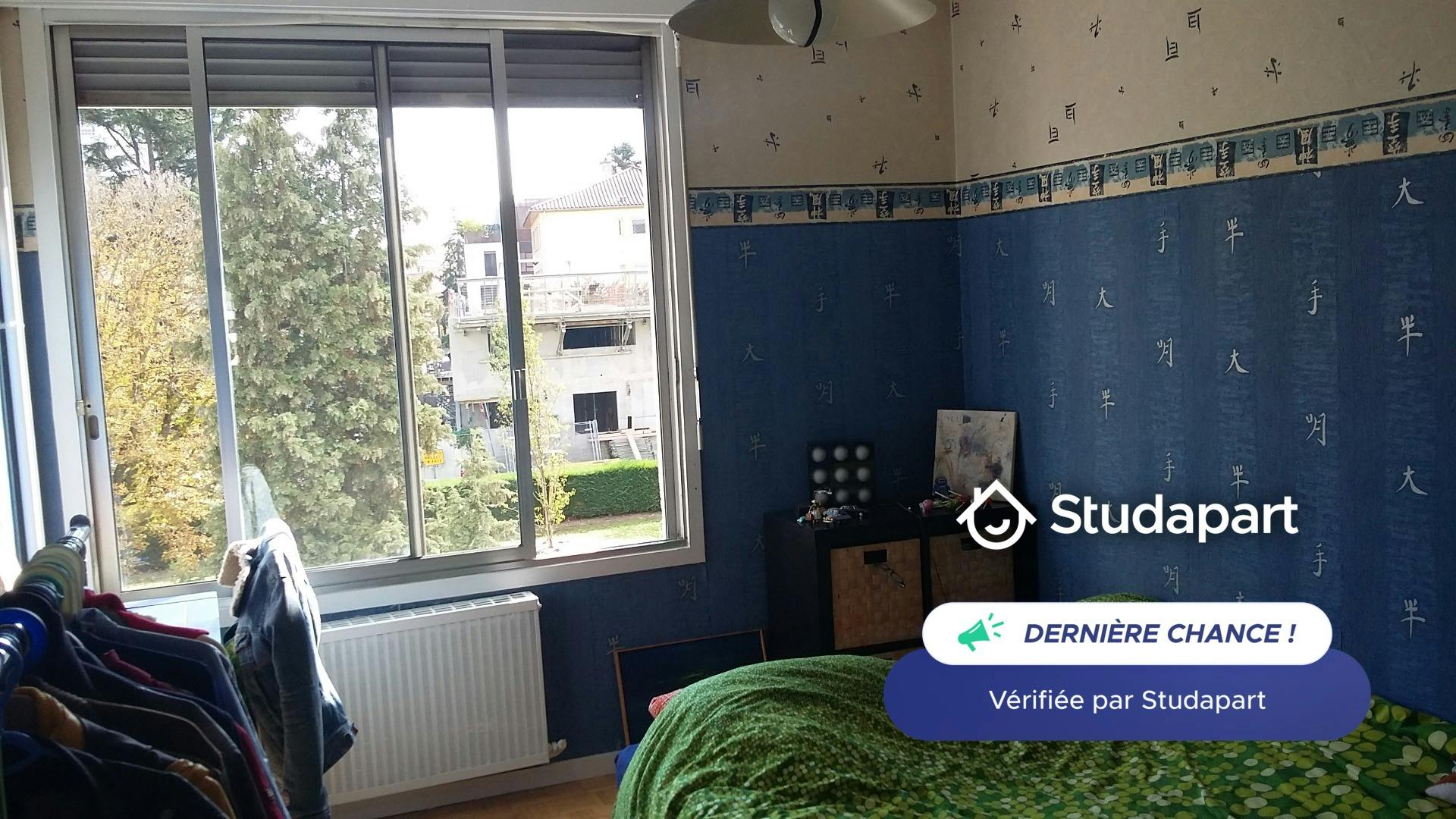 Private room for rent on Rue Henri Gorjus, Lyon