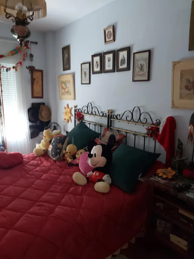 Private room in Carrer Belfast, Alicante room image 1