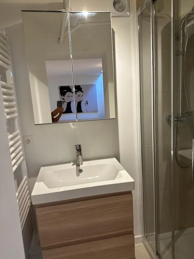 1-Bedroom Apartment in Rue de la Levure, Ixelles (1411942) room image 110