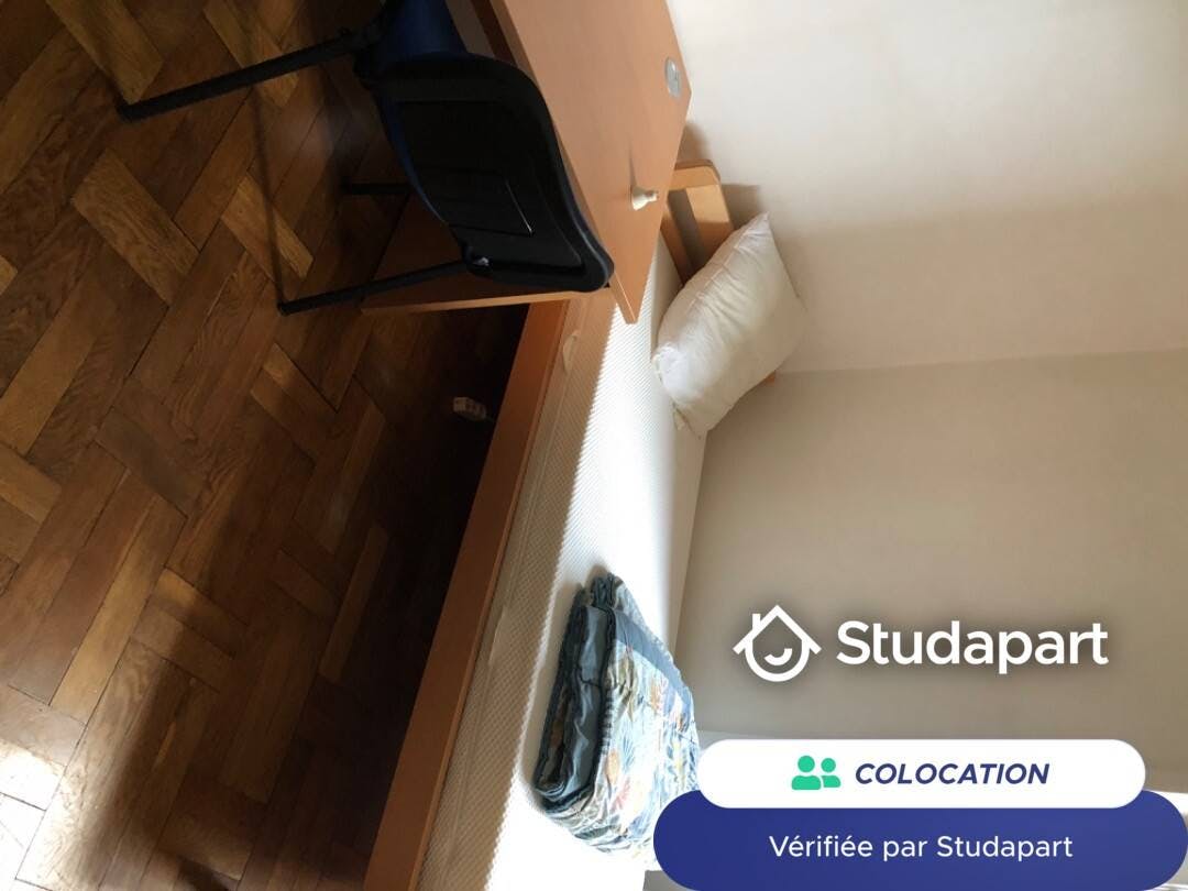Private room for rent on Cours Albert Thomas, Lyon - Widok 3