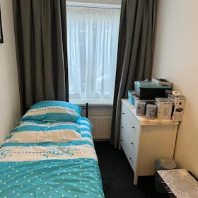 Private room for rent for €800 per month in Rotterdam, Hooglandstraat