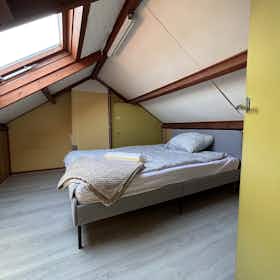 Casa para alugar por € 4.000 por mês em Purmerend, Tutein Noltheniusplein