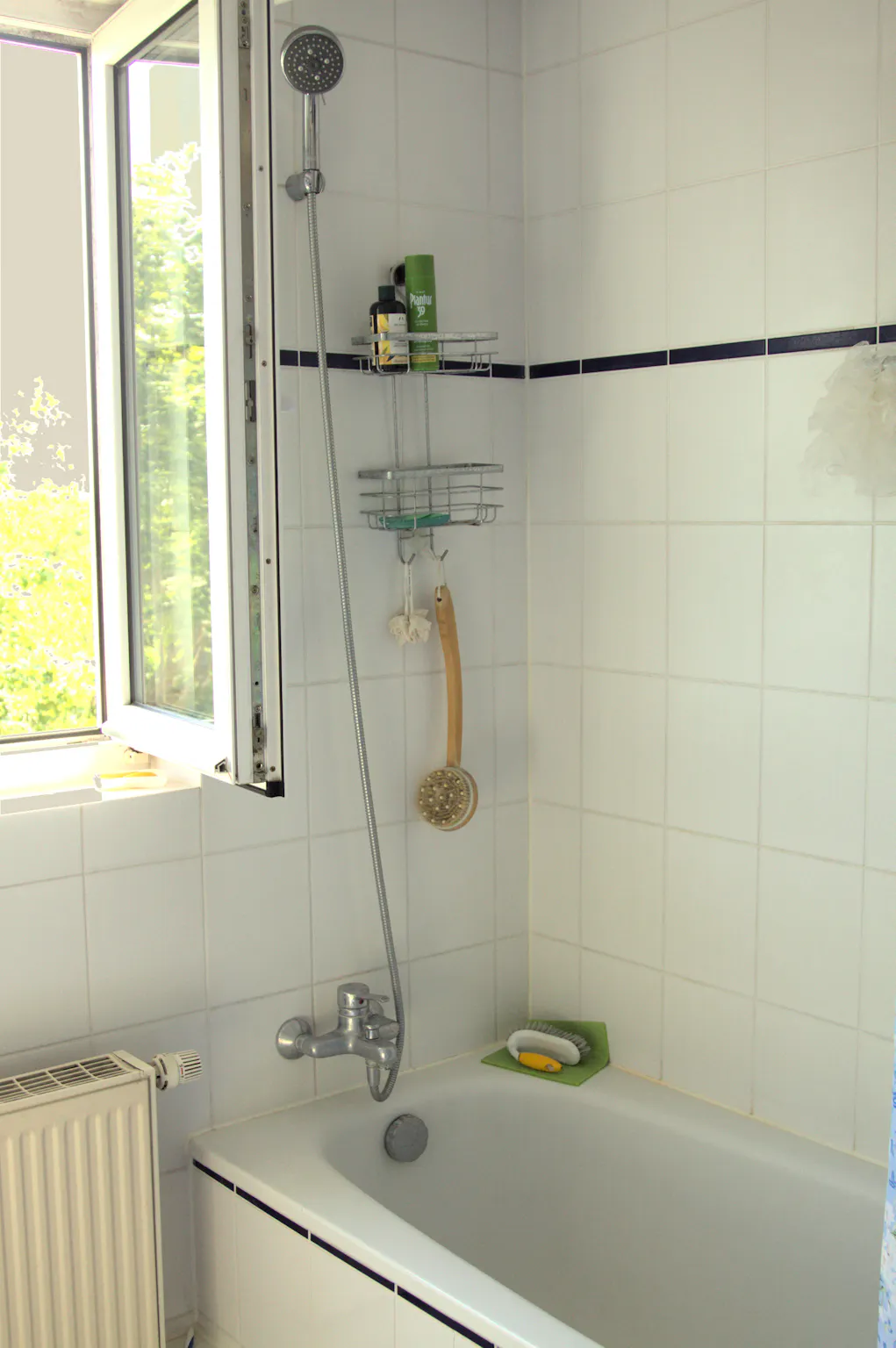 1-Bedroom Apartment in George-Washington-Straße, Mainz (1421370) ROOM 4