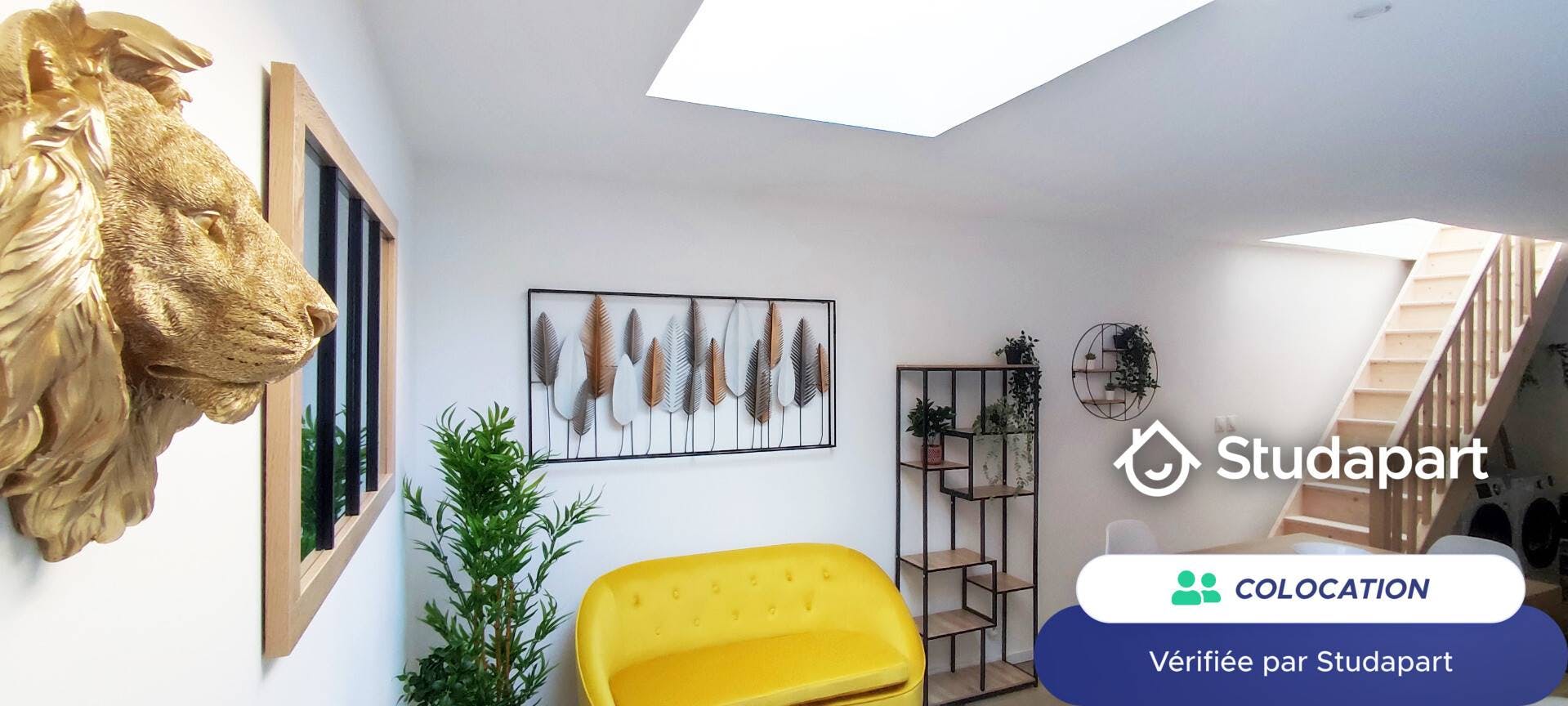 Private room for rent for €449 per month in Roubaix, Rue de l'Alouette