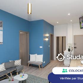 私人房间 正在以 €500 的月租出租，其位于 Colmar, Grand'Rue